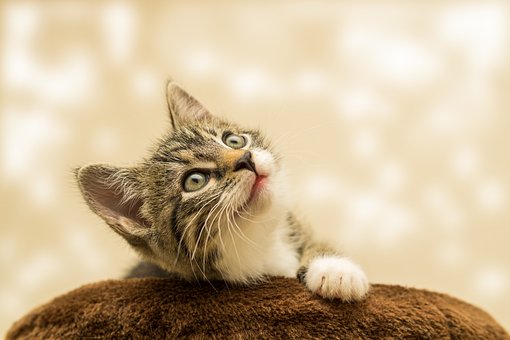 Bán nhà mặt phố đường Hiệp Bìnhhhhhh